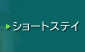ʌsbp[NzebV[gXeC